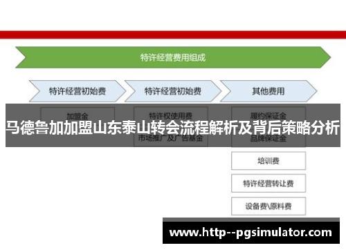 马德鲁加加盟山东泰山转会流程解析及背后策略分析