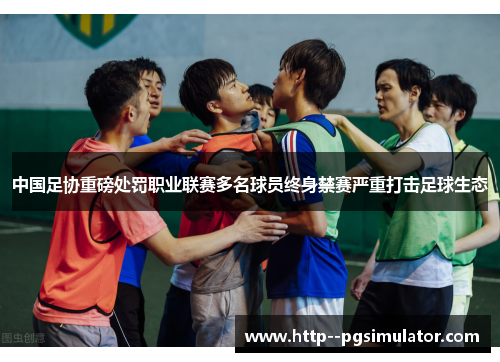 中国足协重磅处罚职业联赛多名球员终身禁赛严重打击足球生态